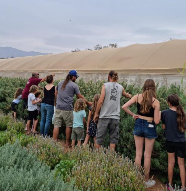 Elifaz Desert Experience Holiday Εξωτερικό φωτογραφία
