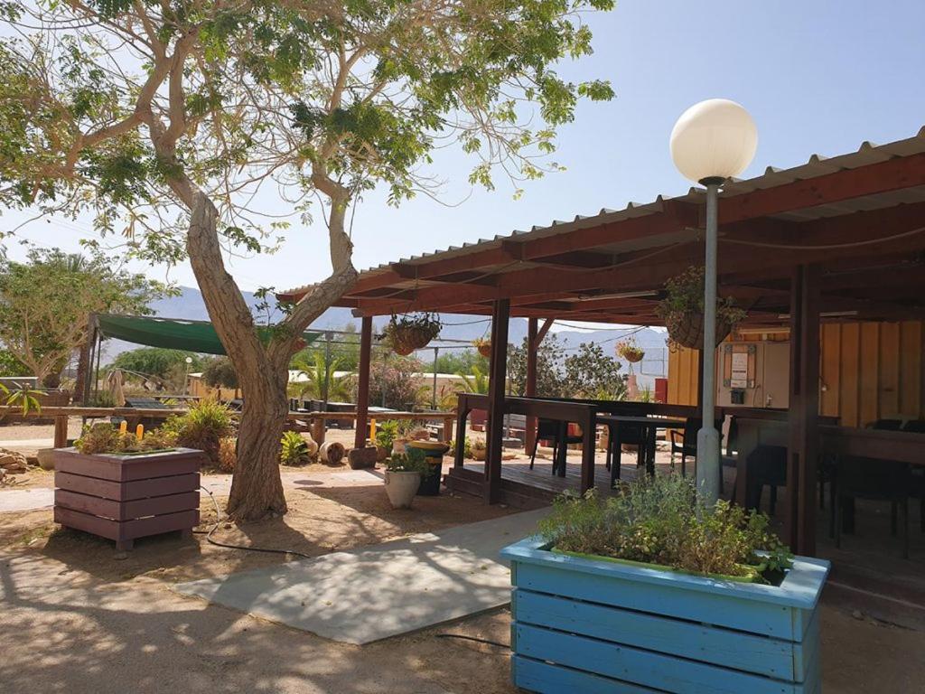 Elifaz Desert Experience Holiday Εξωτερικό φωτογραφία