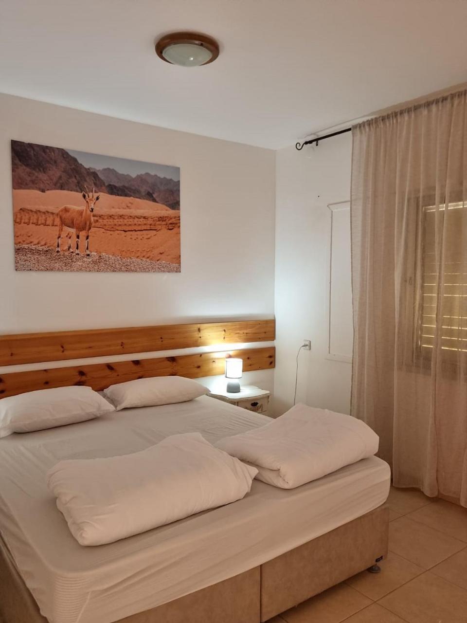 Elifaz Desert Experience Holiday Εξωτερικό φωτογραφία