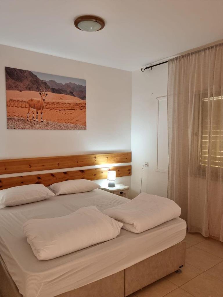 Elifaz Desert Experience Holiday Εξωτερικό φωτογραφία