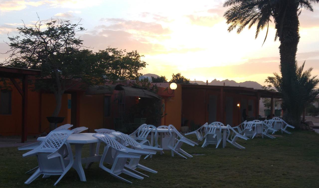 Elifaz Desert Experience Holiday Εξωτερικό φωτογραφία